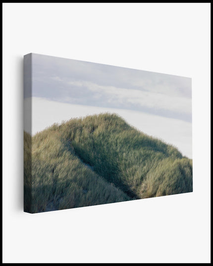 Dune covered in thick Grass Canvas