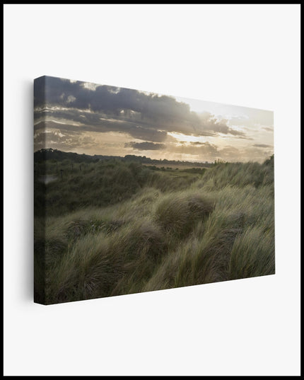 Beach Grass Dunes Canvas