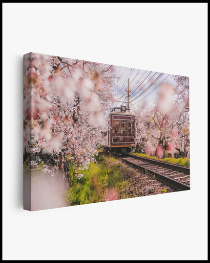 Japanese Train Cherry Blossom Canvas