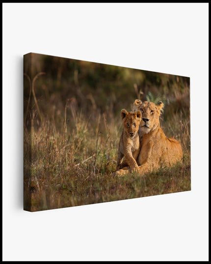 Lion Cub with Mother Canvas