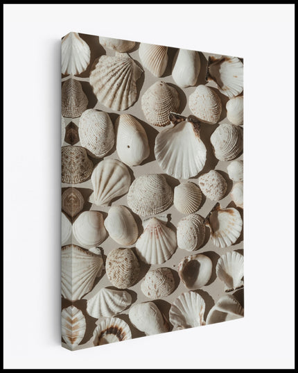 Shells in the Sand Canvas