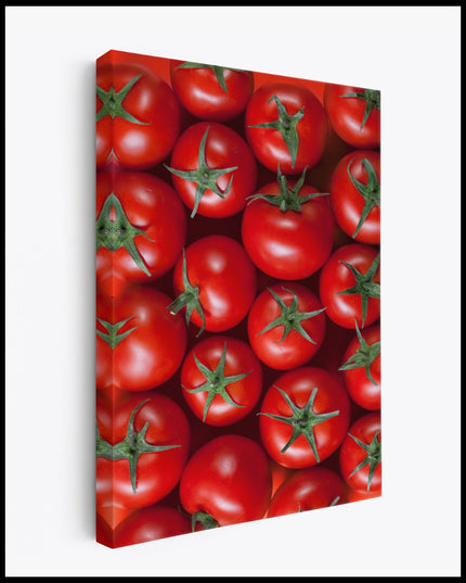 Tomatoes Canvas