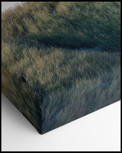 Dune covered in thick Grass Canvas