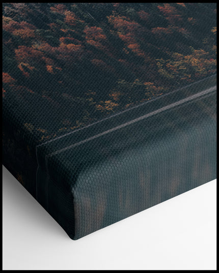 Coniferous Forest Canvas