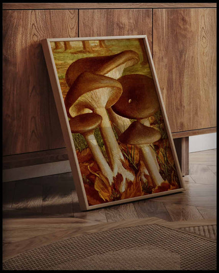 Clitocybe Nebularis