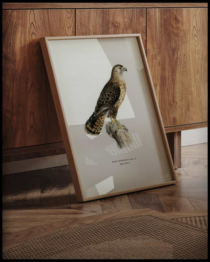 Buteo Intermedius Poster