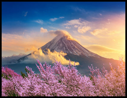 Ein Poster von einem blühenden Kirschbaumfeld vor dem Berg Fuji.