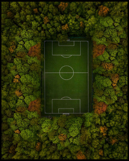 Ein Poster aus der Vogelperspektive von einem Fußballfeld das von Wald umgeben ist.