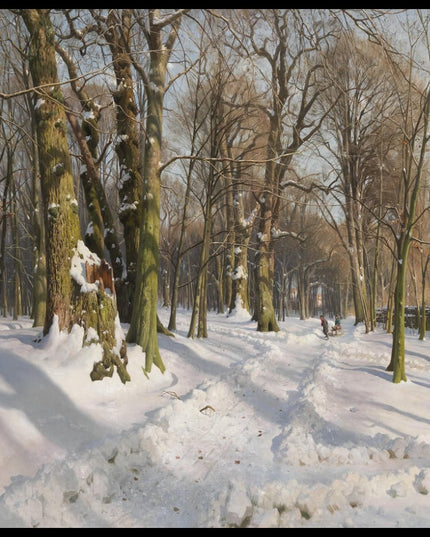 Schneebedeckter Waldweg im Sonnenlicht