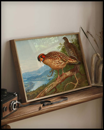 Cabottragopan Poster