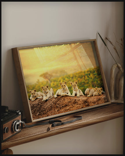 Ein gerahmtes Poster von fünf jungen Löwen, die auf einem Hügel sitzen, mit einer weiten afrikanischen Savannenlandschaft im Hintergrund, auf einem Holzregal an die Wand angelehnt