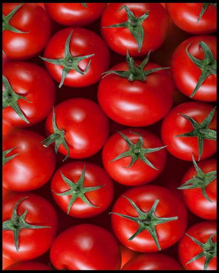 Ein Poster einer Nahaufnahme von mehreren Tomaten.