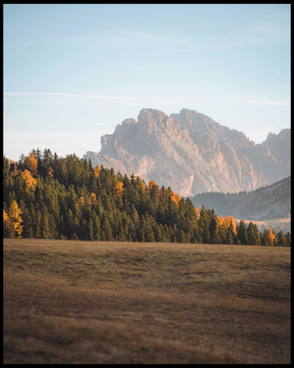 Ein Poster von einem dichten Waldstück in einer kargen Berglandschaft.