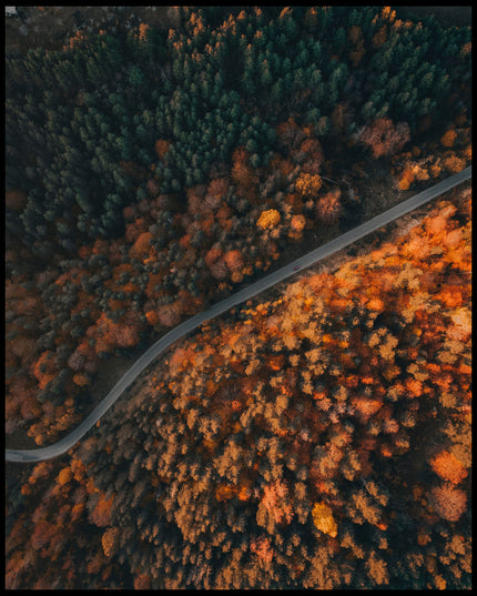 Ein Poster aus der Vogelperspektive von einer Straße die durch einen herbstlichen Wald führt.